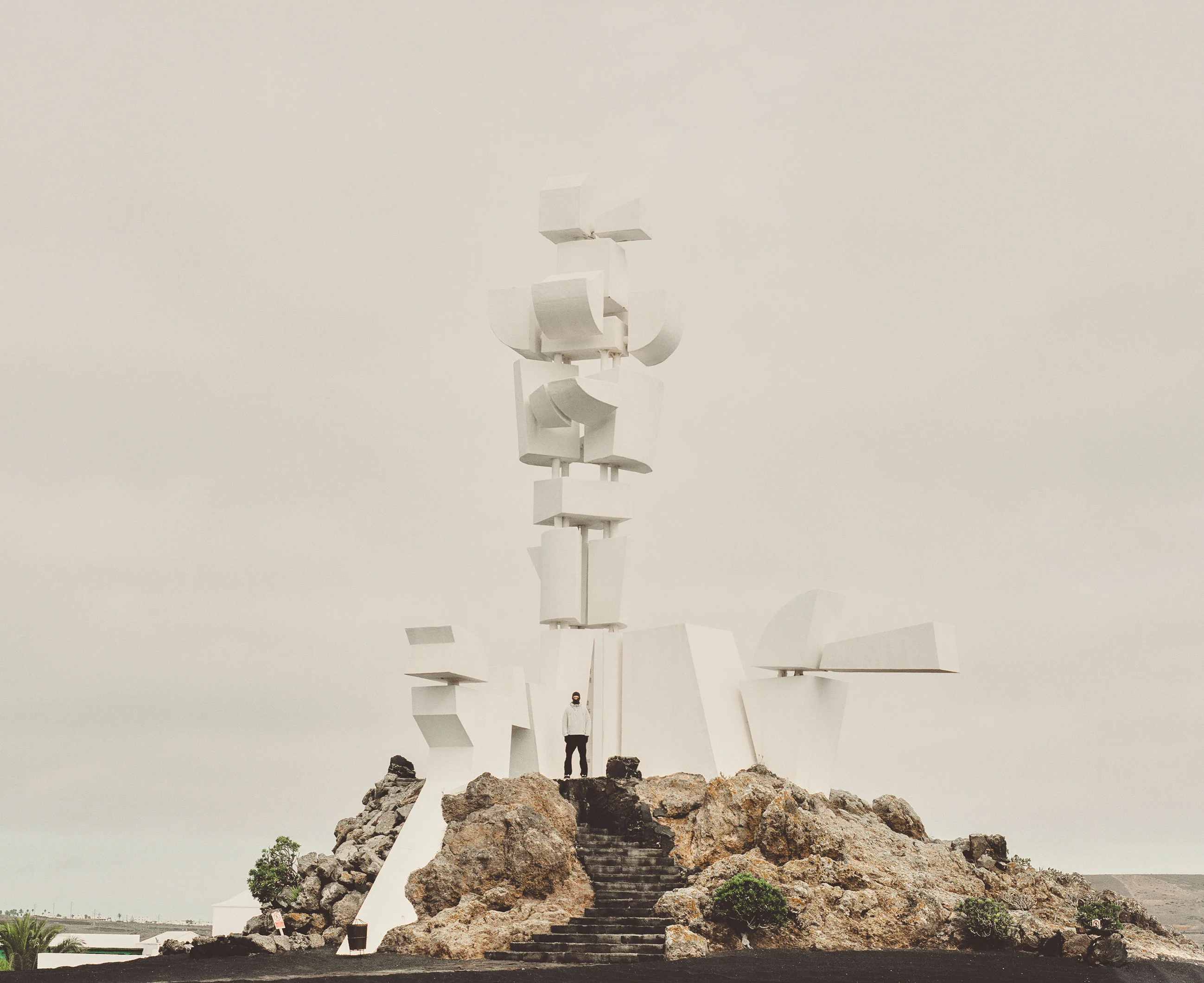 コレクション The Nature Of Inspiration (1962) Art into Nature, Nature into Art with ROA | SEVENSTORE